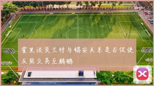 霍里谈莫兰特与锡安关系是否促使灰熊交易至鹈鹕